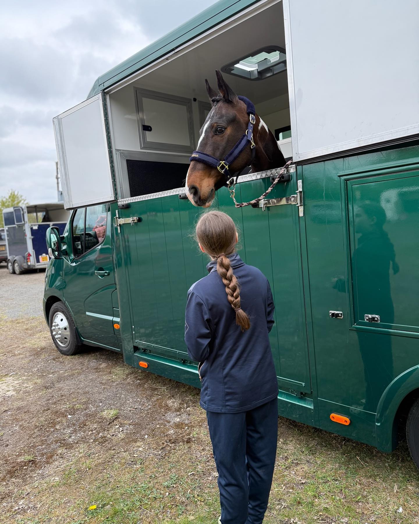 491444121_17963950958876780_5812413501201618428_n Horse sticking head out of side of horsebox