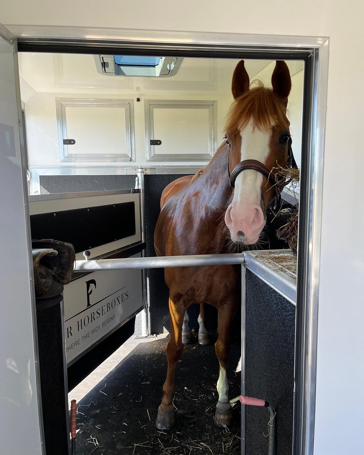 498579160_17966540858876780_4744613279717555283_n Safety-focused horse stall design from Piper Horseboxes Ltd in Lancashire. Perfect for equestrian travel.