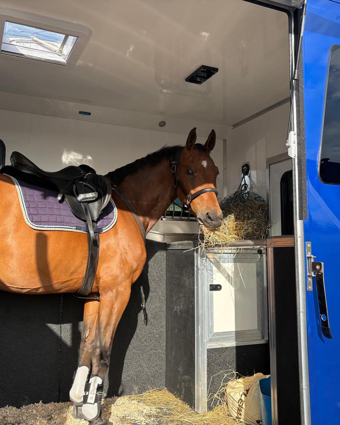 517918811_17972600603876780_827277933919583695_n Spacious horse stall inside a Piper Horseboxes Ltd horsebox for safe transport. Perfect for equestrian travel.