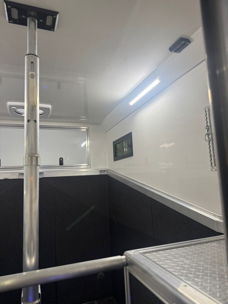 VELOCITY BLUE/ YELLOW