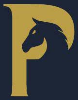P Icon P Icon