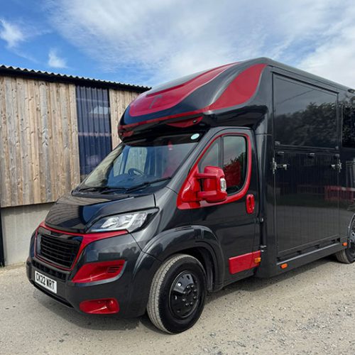 Piper Horseboxes Ltd horsebox with horse ready for journey. Perfect for horse shows and travel.